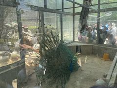 -水绘园