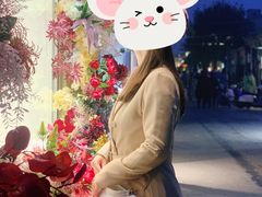 -Sirena海妖日咖夜酒