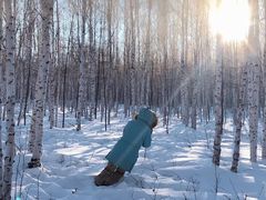 -北极村旅游风景区