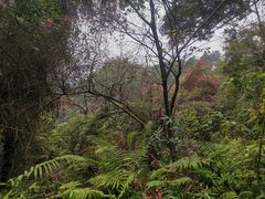 -三门江国家森林公园