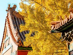 -故宫博物院(故宫)