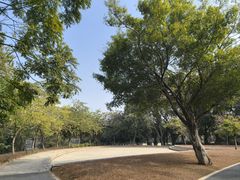 -东莞植物园