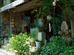 -谷咖啡·鲜花绿植花园餐厅