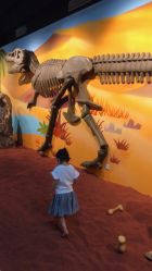 -北京科学中心儿童乐园