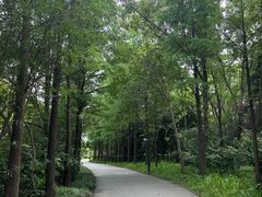 -狼山风景名胜区