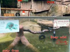 -深圳野生动物园
