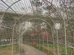 -秀丽东方