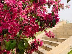 -元大都城垣遗址公园