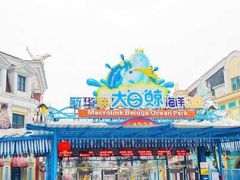 -芜湖新华联大白鲸海洋公园