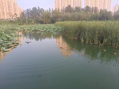-前关湿地公园