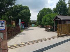 -田园东方蜜桃村的田野营地