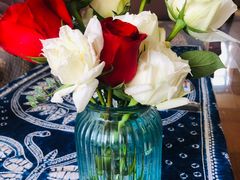 -秦美花卉(天朗·莱茵小城2期店)