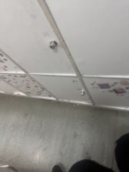 -依格宝IL COLPO明星店