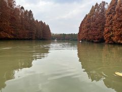 -上海海湾国家森林公园