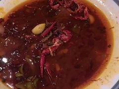 -杨氏青龙虾·羊蝎子(托乐嘉店)