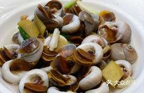 Snow Juice Meat Snail