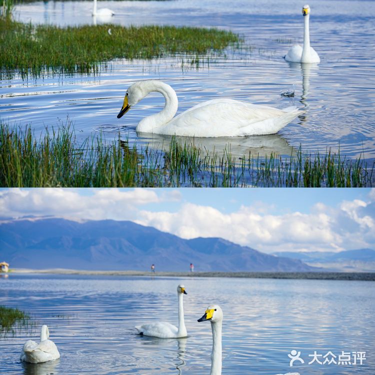 新疆旅行|遇见大西洋的最后一滴眼泪