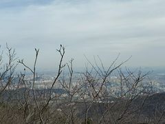 -定都峰