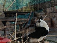 -南宁市动物园