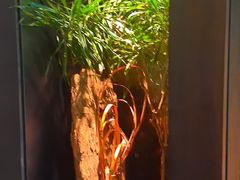 -虹之森·小馆