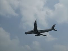 -空港花田景区