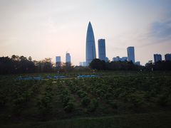 -深圳湾公园(南山区)