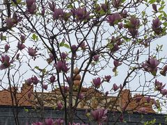 -惠州西湖风景名胜区-丰渚园