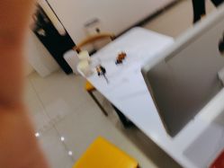 -童年时光专业儿童摄影(龙首店)