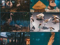 -中国湿地博物馆