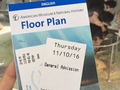 -美国自然历史博物馆