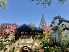 -苏州上方山国家森林公园
