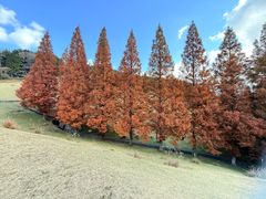 -神户市立六甲山牧场