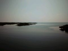 -北海金海湾红树林生态旅游区