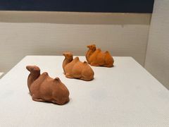 -隋唐大运河文化博物馆