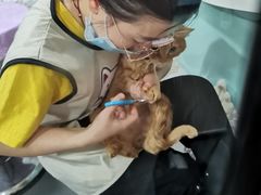 -十年猫舍·猫咪专门店(普陀店)