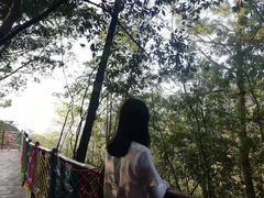 -千岛湖石林