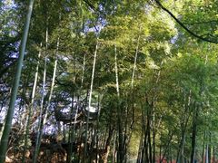-桃花岭景区