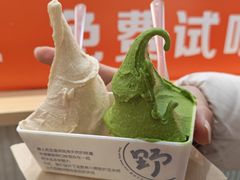 -野人先生现做冰淇淋(西安赛格店)