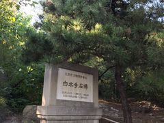 -白水寺森林公园