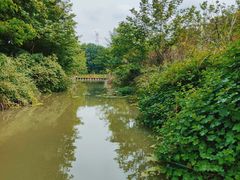 -桤木河湿地公园