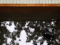 -潘多多·山里人锅巴土豆(八一路店)