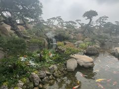 -罗红摄影艺术馆