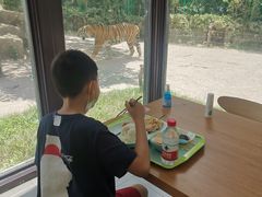 -上海野生动物园老虎餐厅