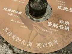 -蘑界·野生菌火锅(深业上城店)