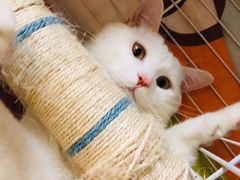 -黑马眼科·近视手术