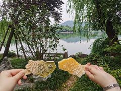 -西湖游船
