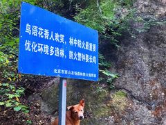 -北京凤凰岭