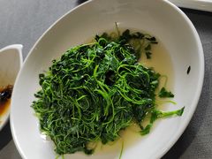 -月湖翠·上海菜(思南公馆淮海店)