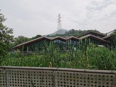 -西湖风景区-江洋畈生态公园