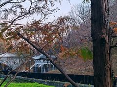 -白水寺森林公园